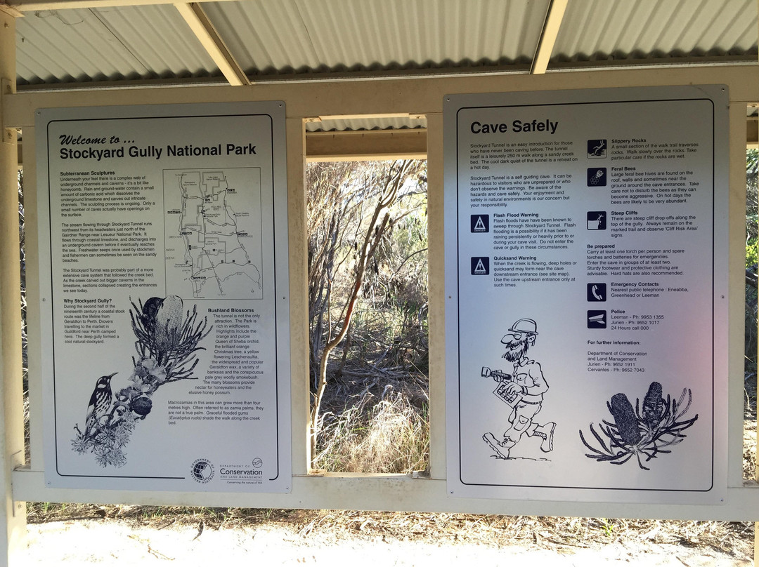 Drovers Cave National Park-朱里恩湾必去景点