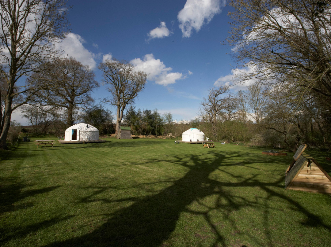 Oxenford Farm Yurts