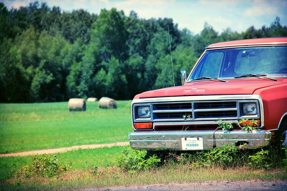 Theatre du Coq-Sainte-Perpetue必去景点