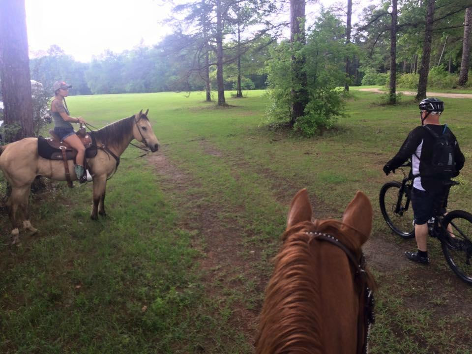 Rockin N Stables-塔拉哈西必去景点