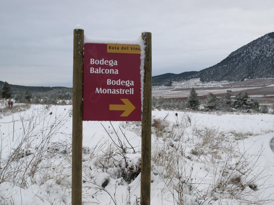 Bodega Monastrell-Bullas必去景点