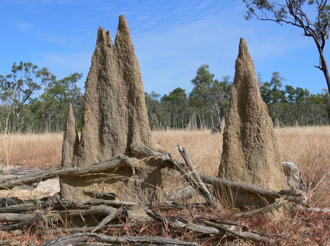 Off Road Adventure Safaris-Bamaga必去景点