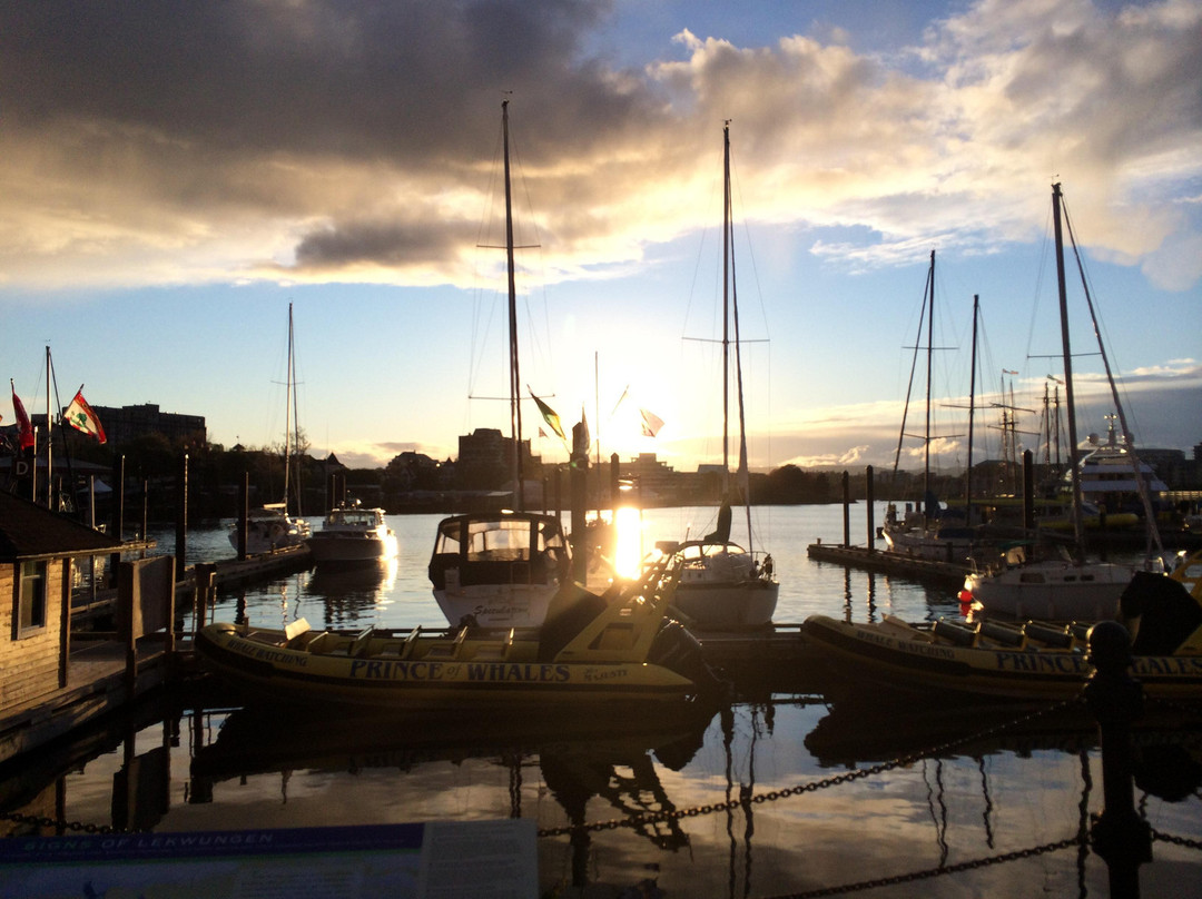 维多利亚渔人码头-维多利亚必去景点