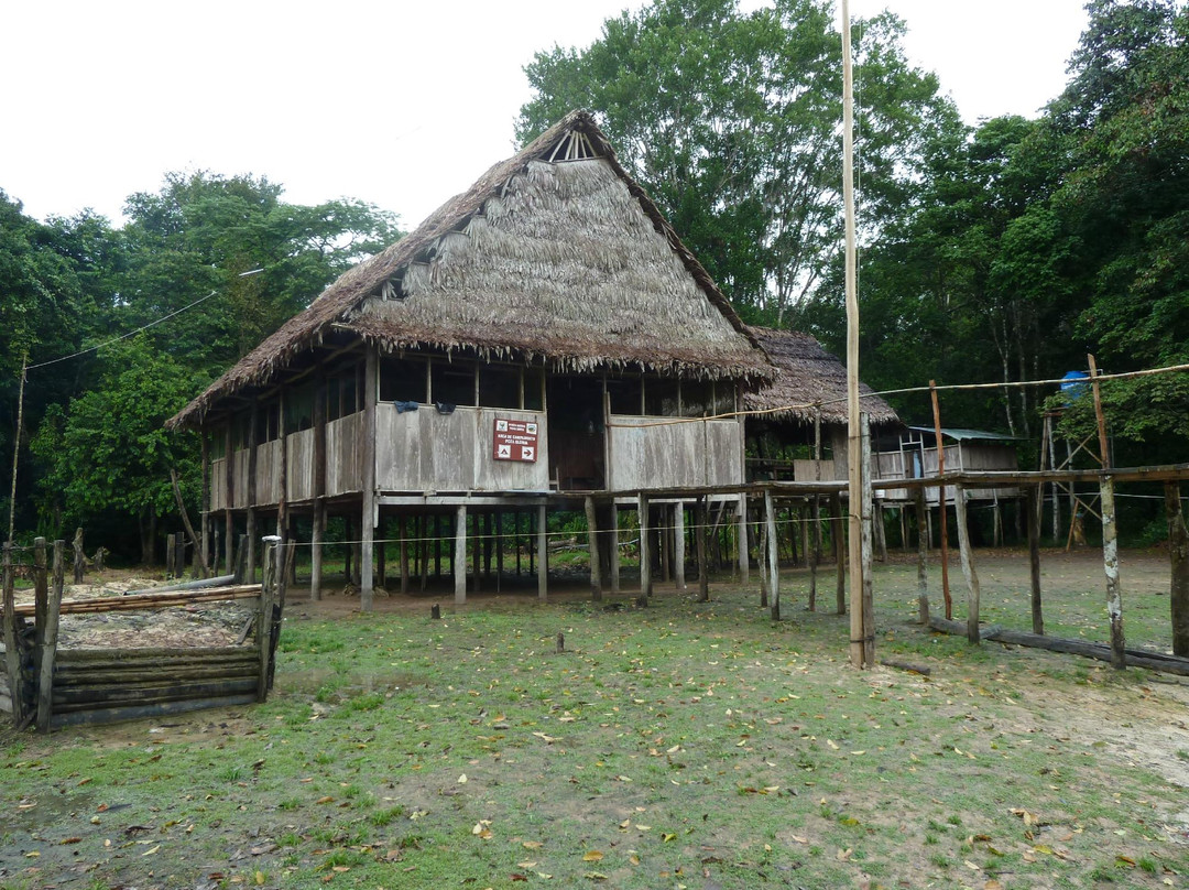 Jungle Amazone Adventure景点图片