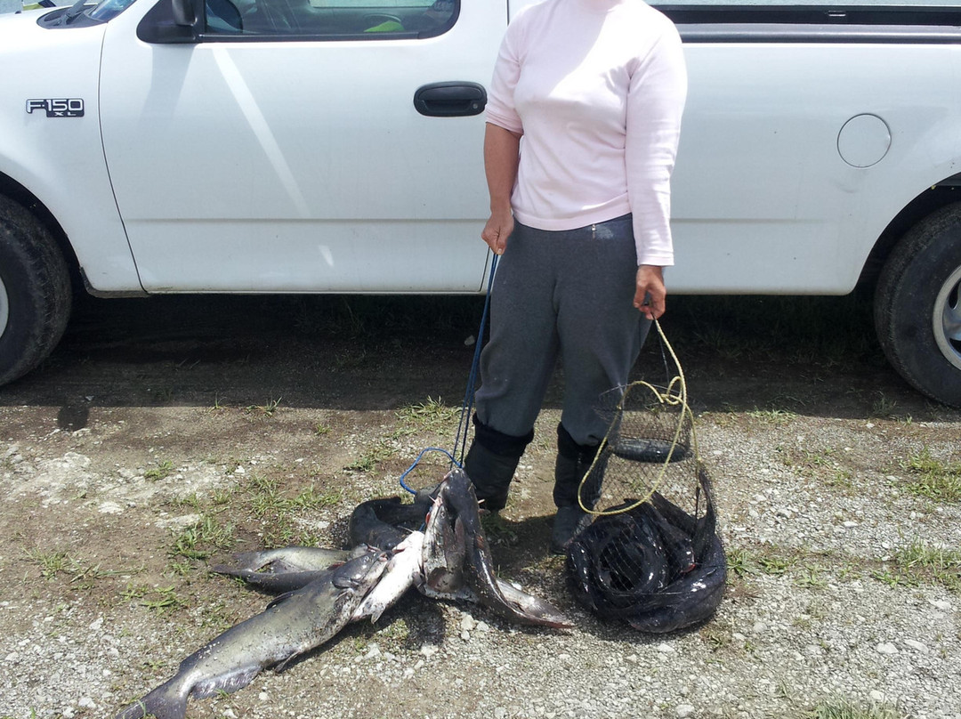 Kopp's Lakes-Clarksville必去景点