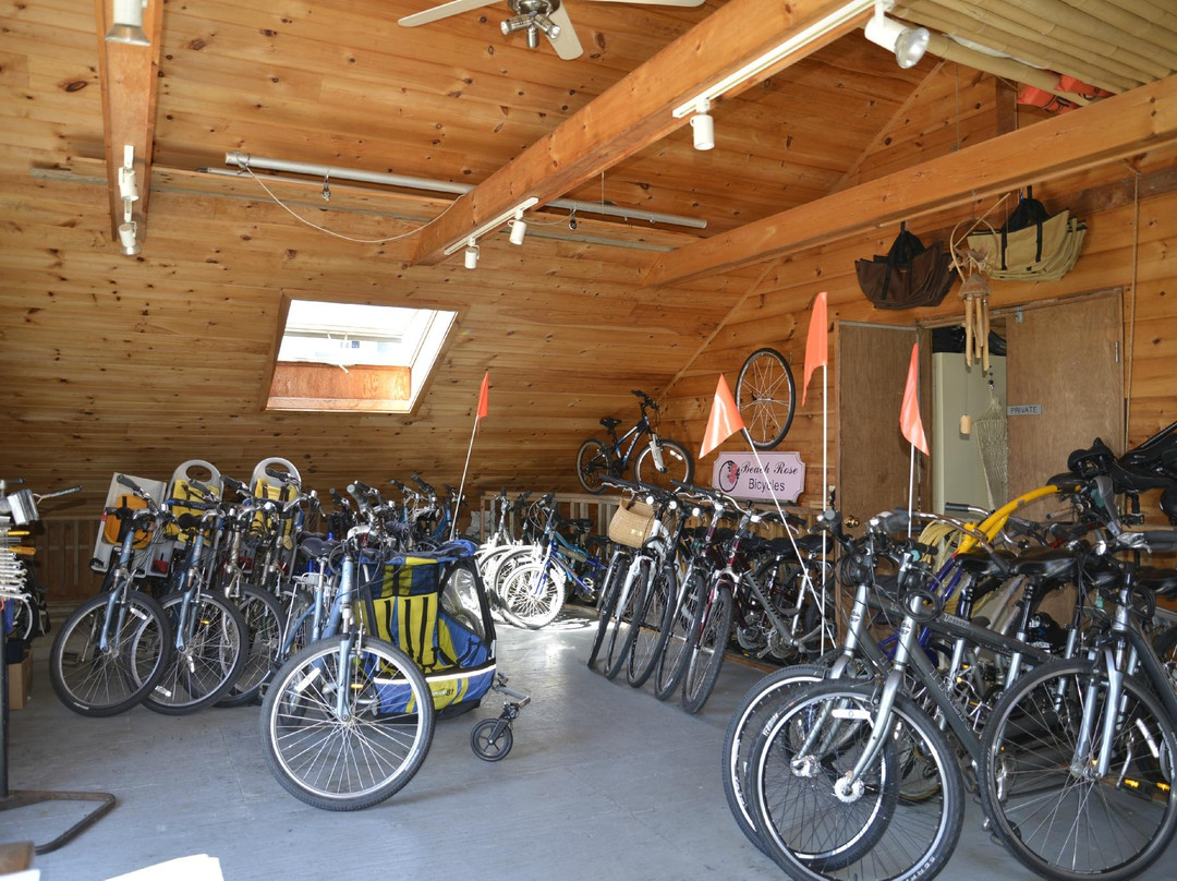 Beach Rose Bicycles-新肖勒姆必去景点