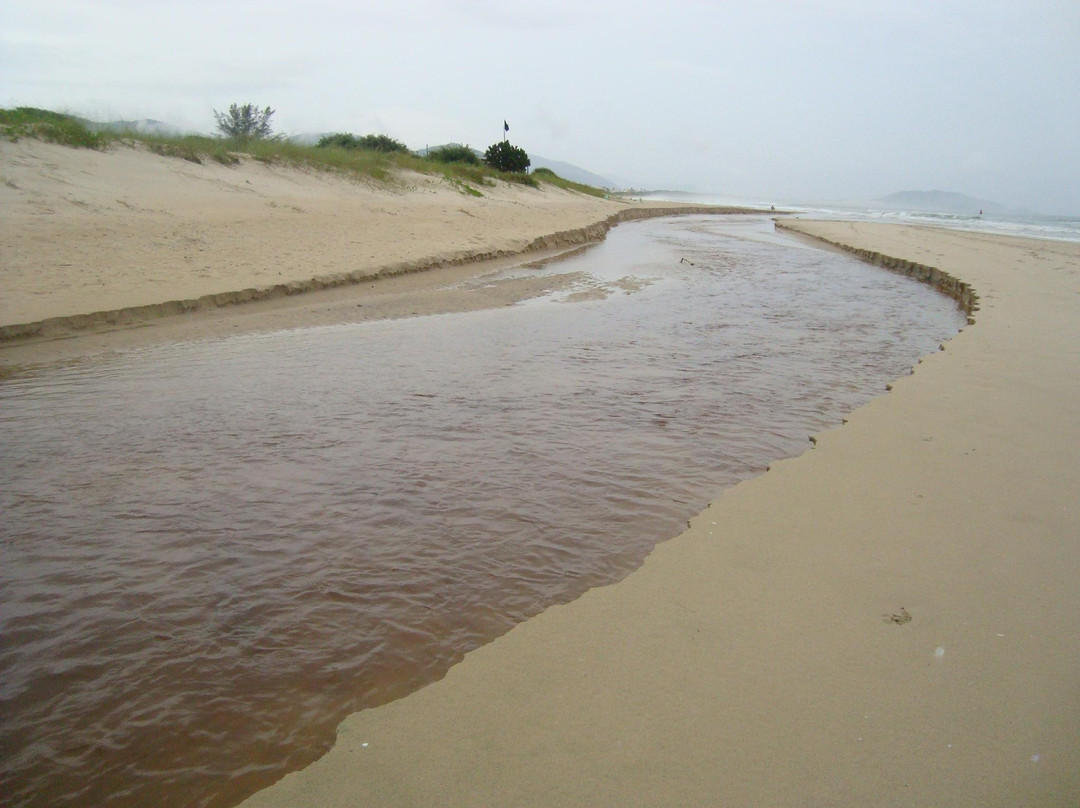 Praia do Riozinho-弗洛里亚诺波利斯必去景点