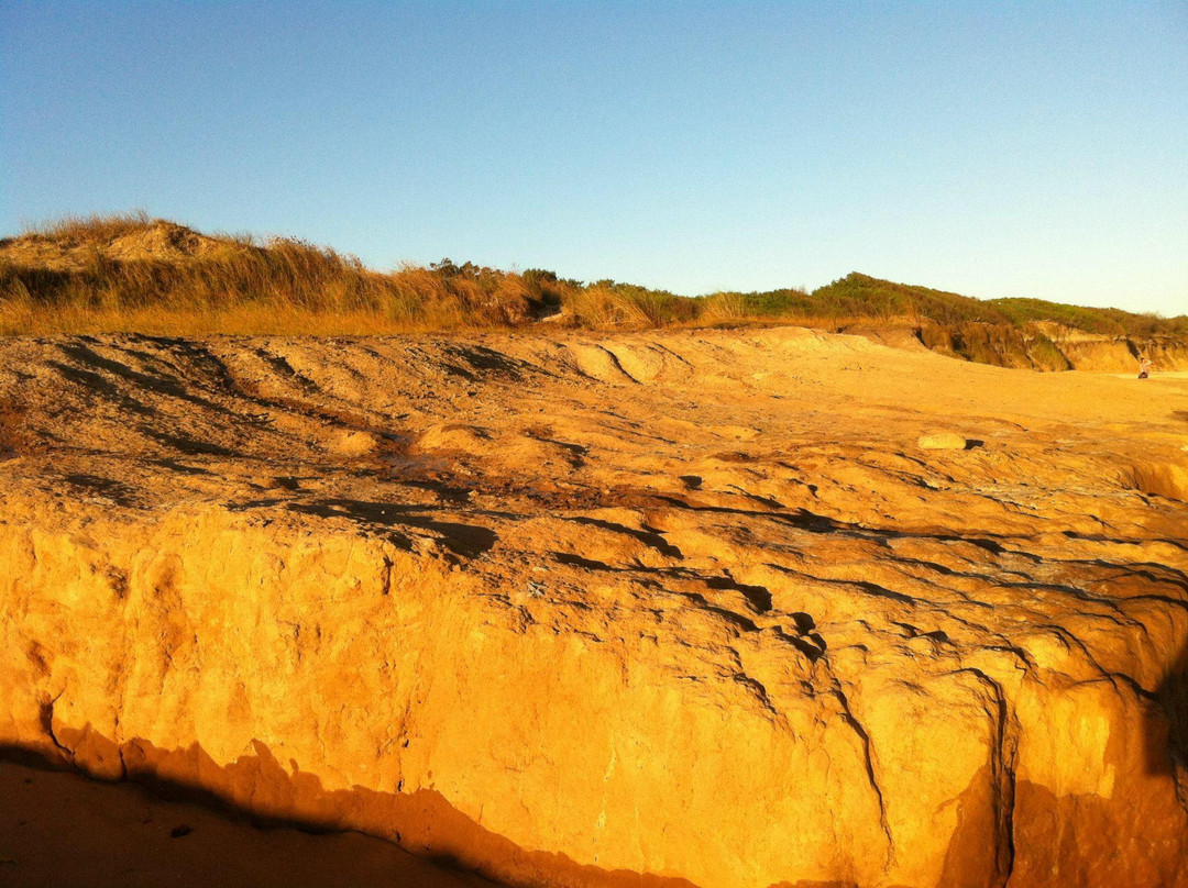 Balneario Argentino-Canelones必去景点