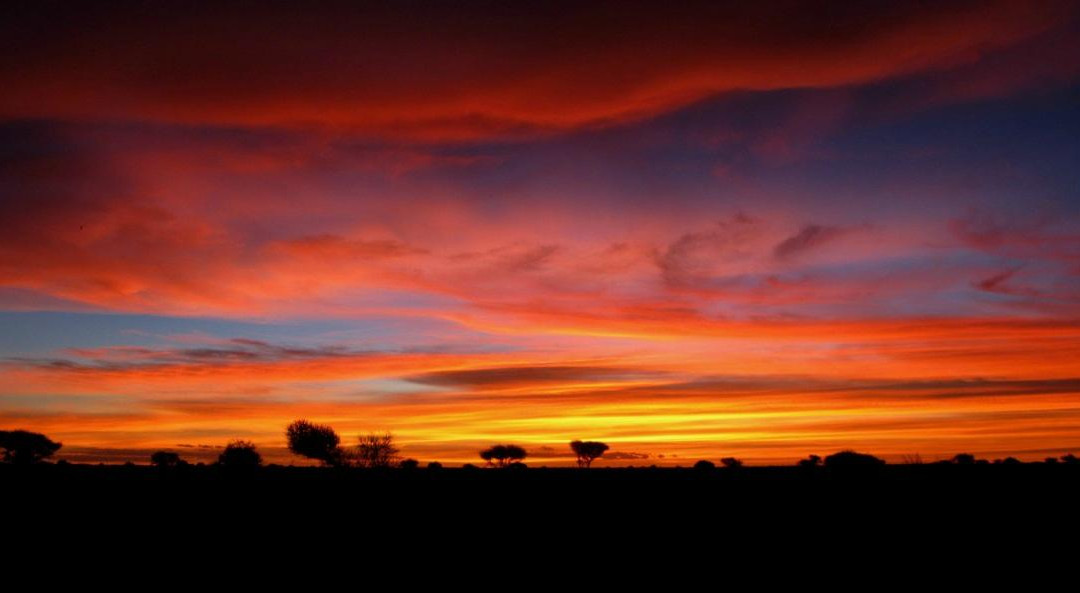 Wilderness Kalahari Plains Camp