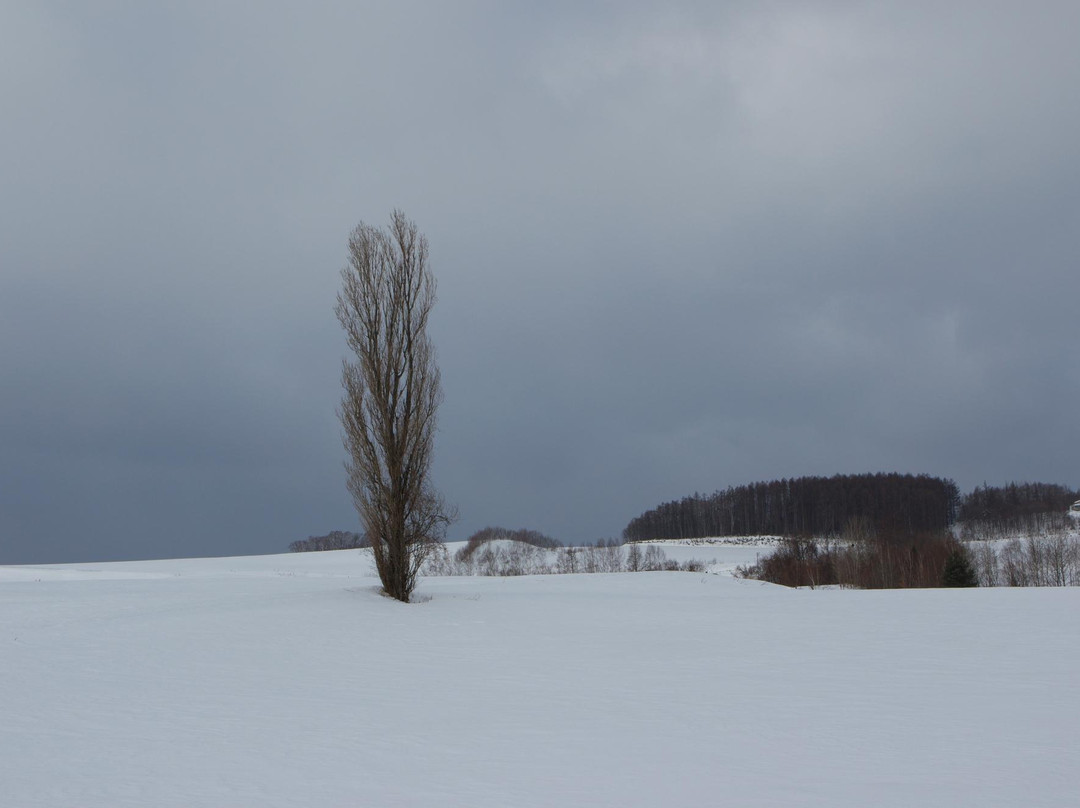 Pension Kaze no michi主图
