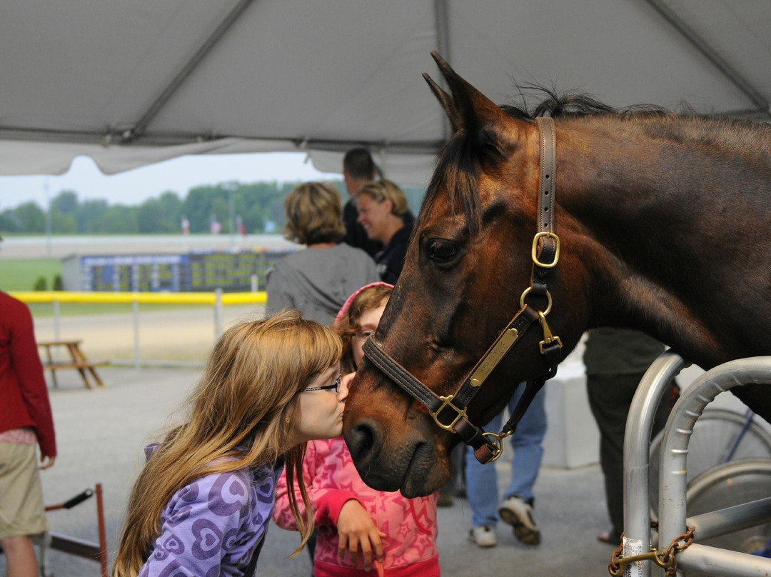 Grand River Raceway-伊劳拉必去景点