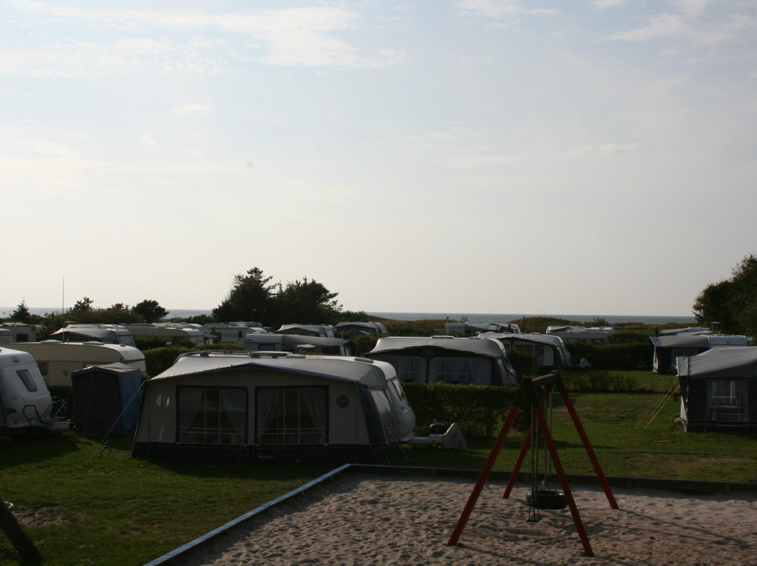Bjerge Sydstrand Camping