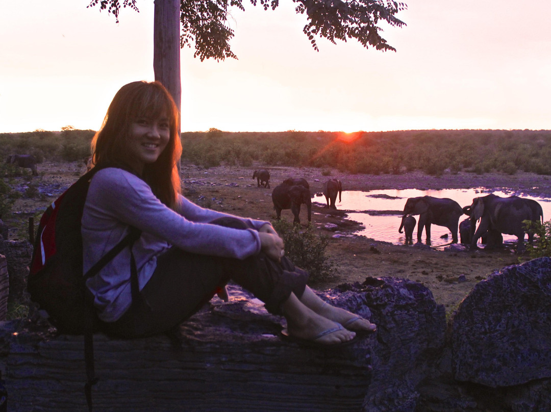 Chameleon Safaris-温德和克必去景点