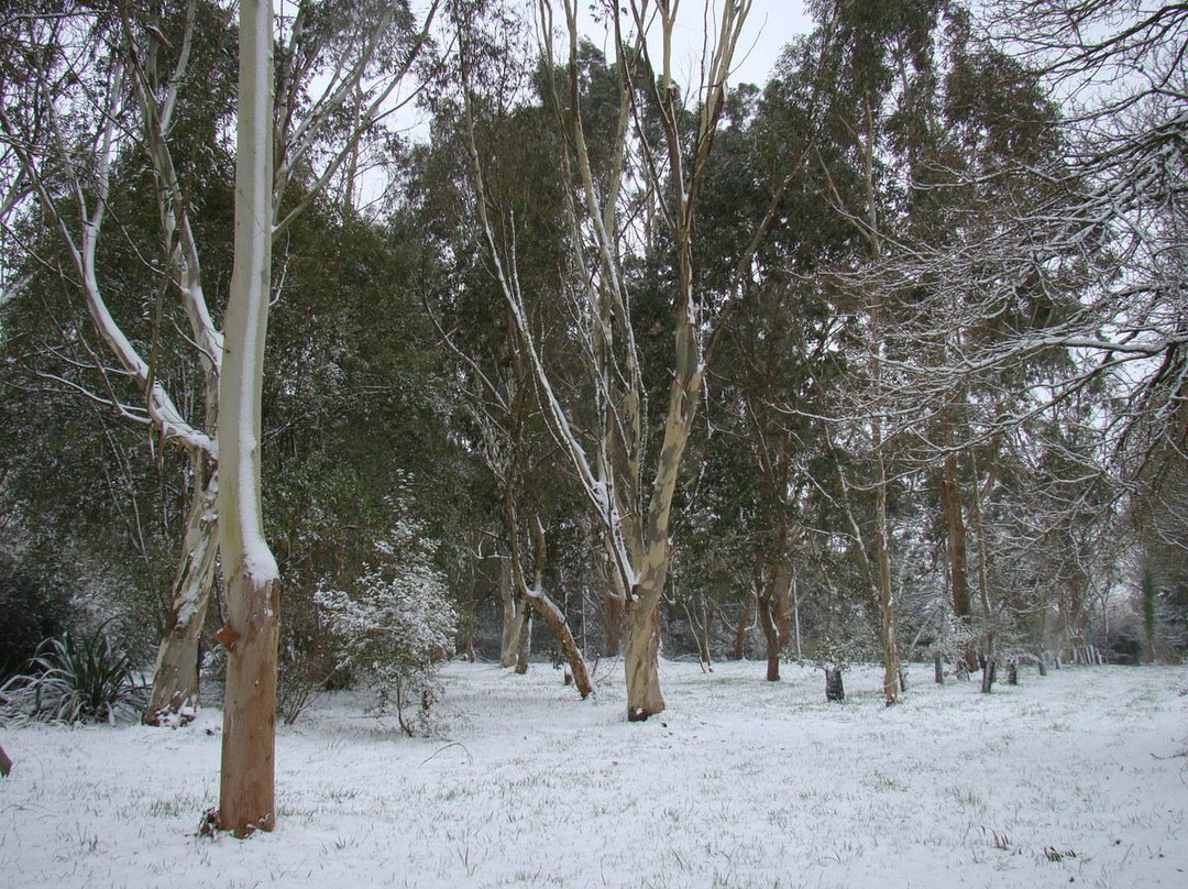 Arbres du Monde au Huelgoat景点图片