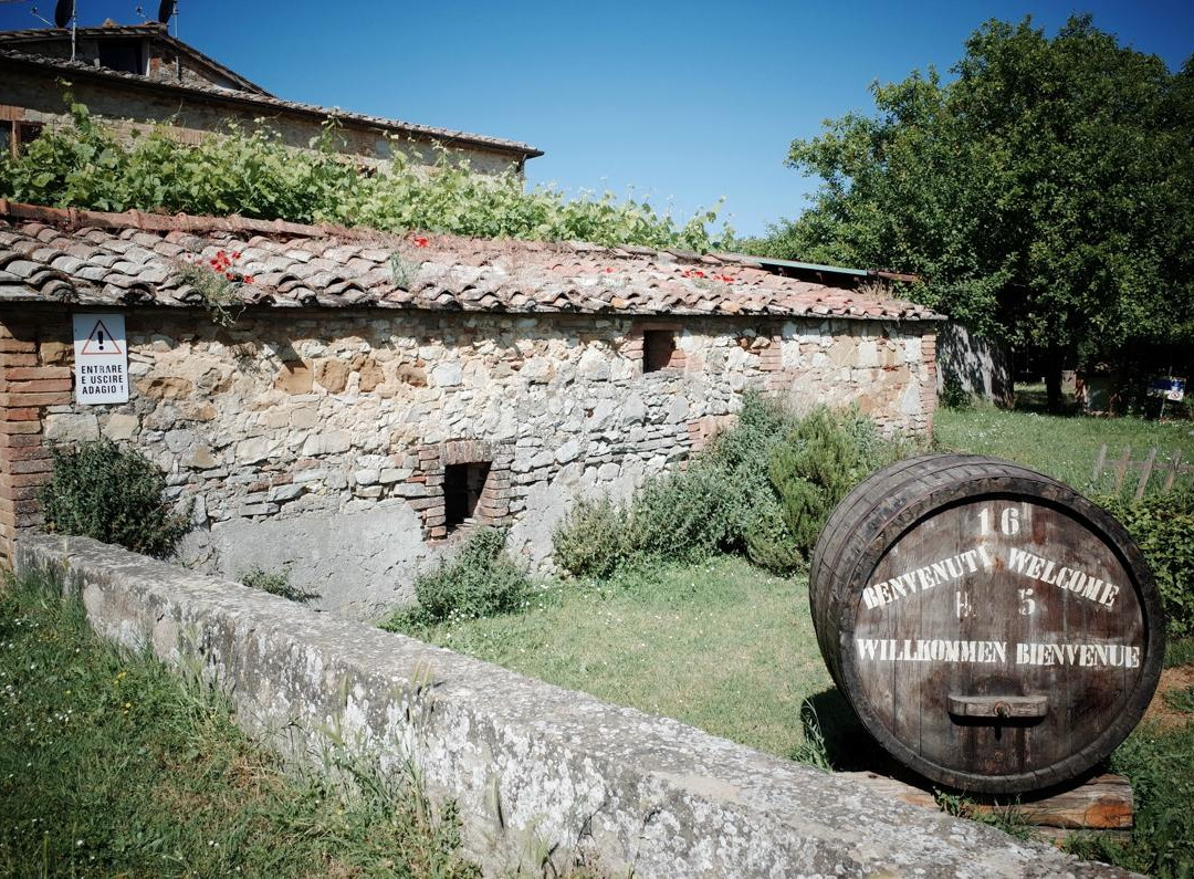 Azienda Agricola Losi Querciavalle景点图片