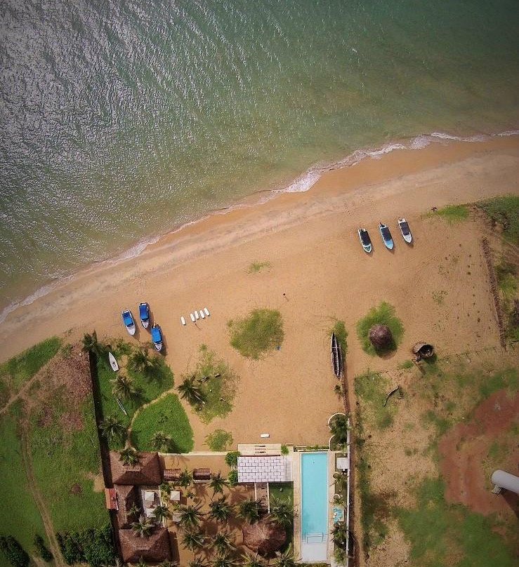 Palaviya酒店住宿-海豚海滩度假村