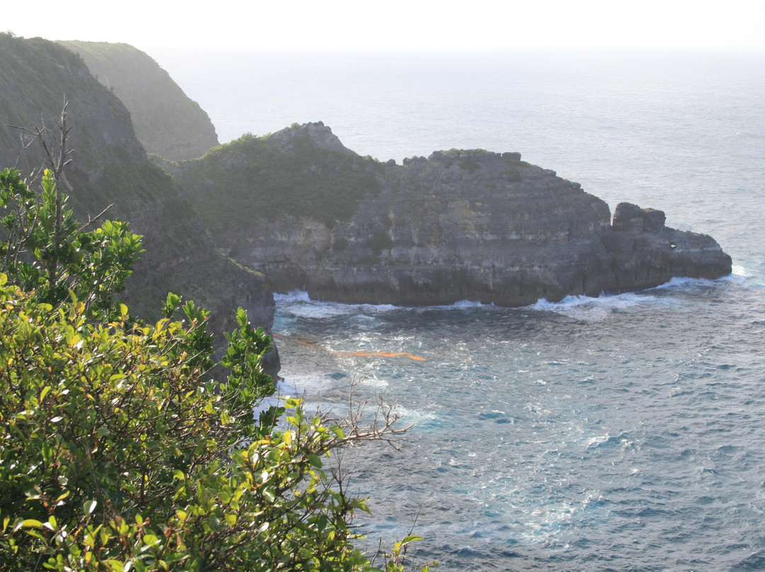 Pointe de la Grande Vigie-Anse-Bertrand必去景点