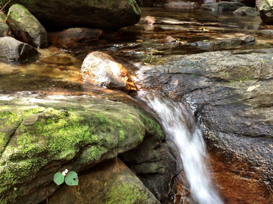 Tranh Stream-扬东必去景点