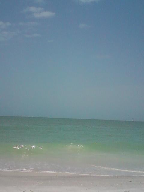 Treasure Island Beach景点图片