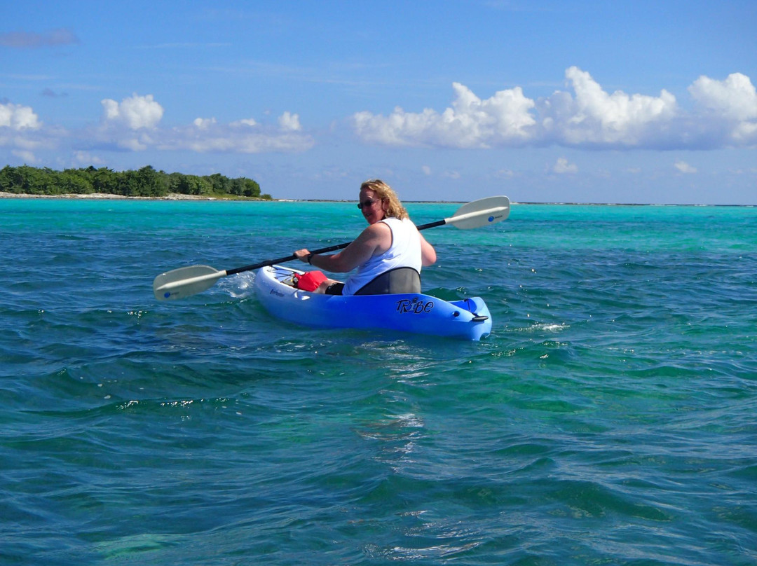 Owen Island-Little Cayman必去景点