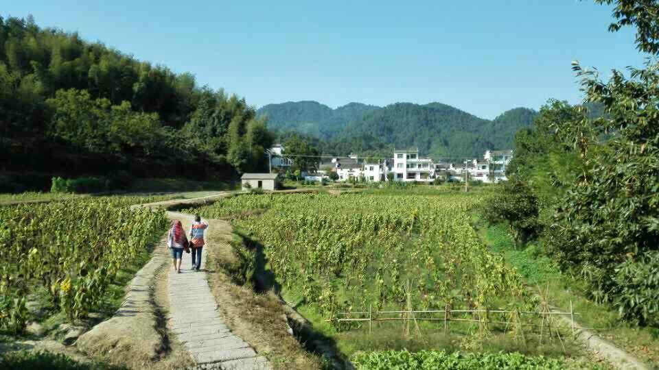 蜀源村-黄山市必去景点