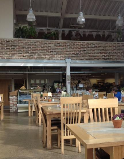 Cross Lanes Organic Farm-Barnard Castle必去景点