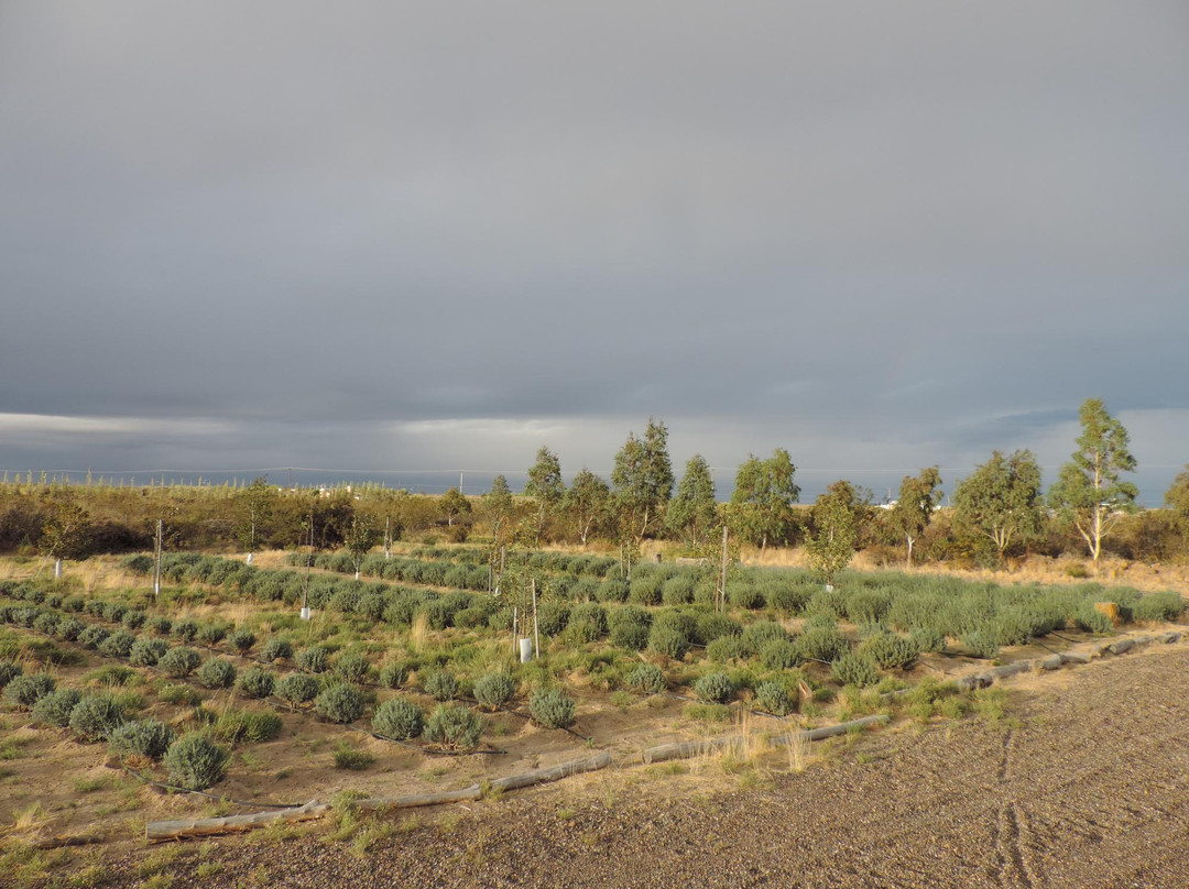 Chacra el refugio-马德林港必去景点