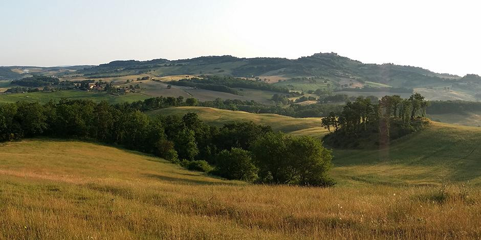 Agriturismo I Casali主图