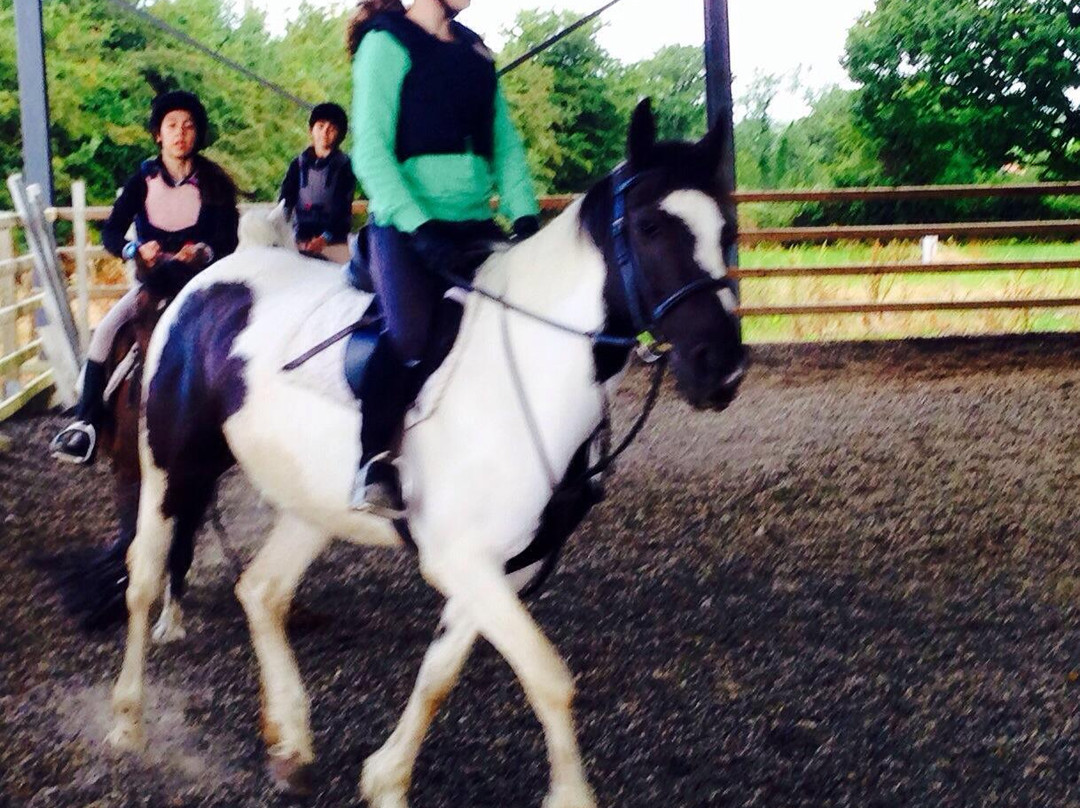 Pony Tales Stables景点图片
