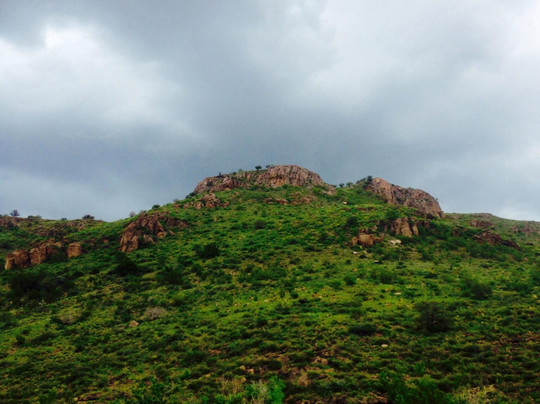 Davis Mountains State Park-Fort Davis必去景点