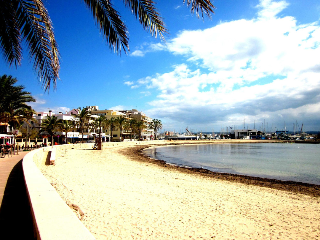 Mallorca Running Tours景点图片
