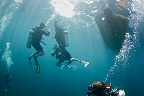 Panama Dive Center景点图片