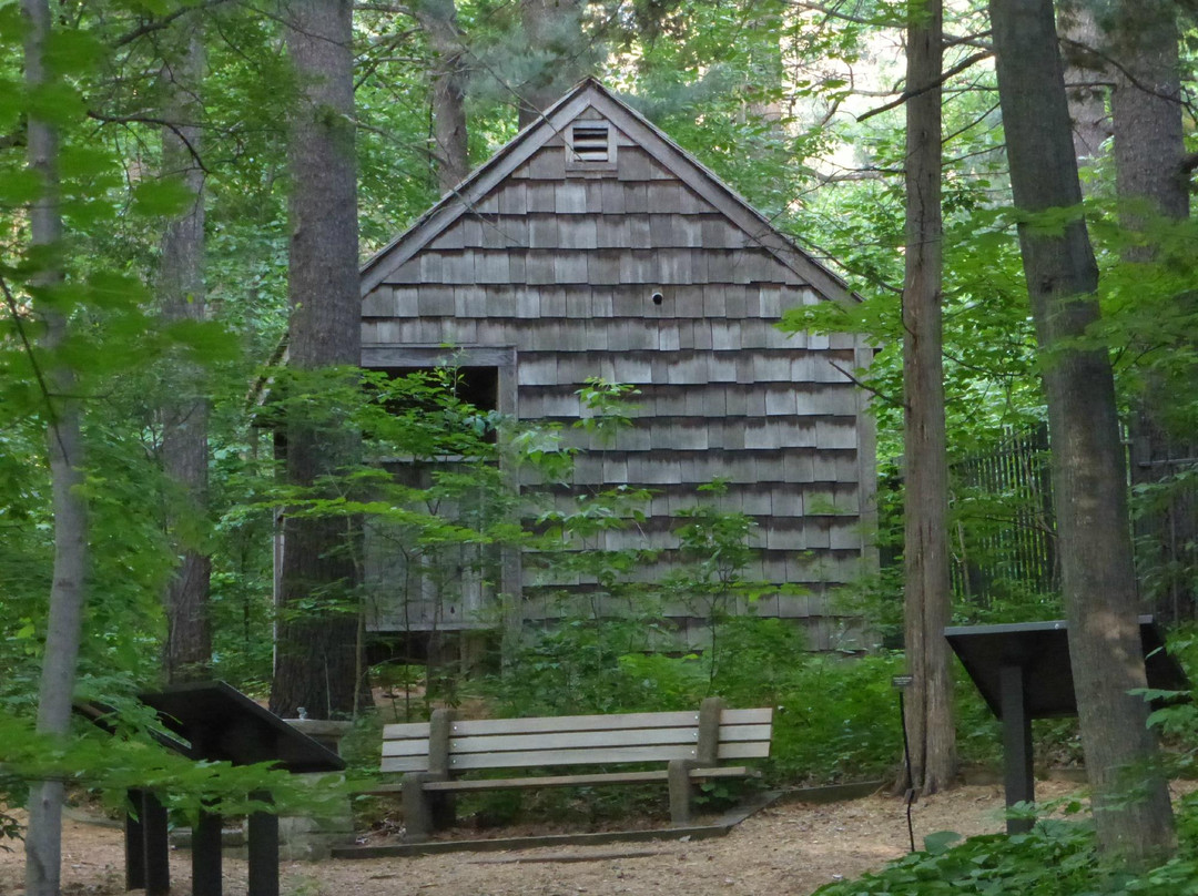 Eloise Butler Wildflower Garden and Bird Sanctuary-明尼阿波利斯必去景点