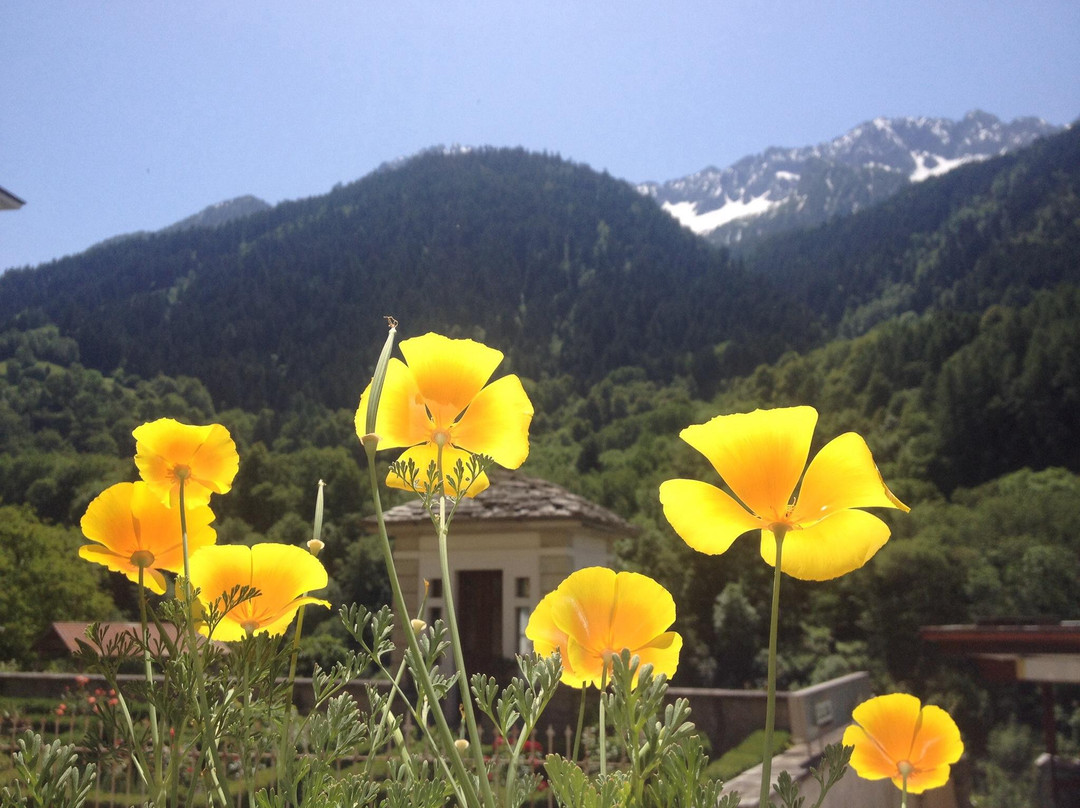 Bregaglia Valley-Vicosoprano必去景点