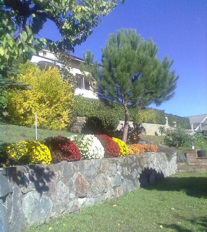 Affitta Camere Il Girasole主图