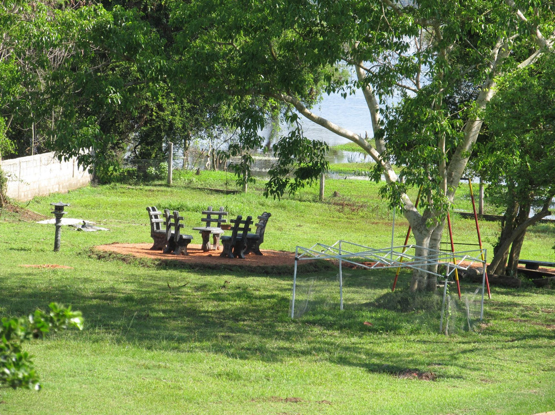 Platinum Resort主图