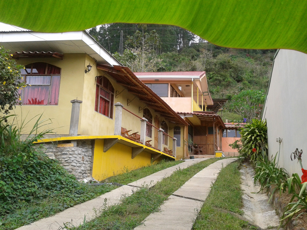 Apartamentos El Pino