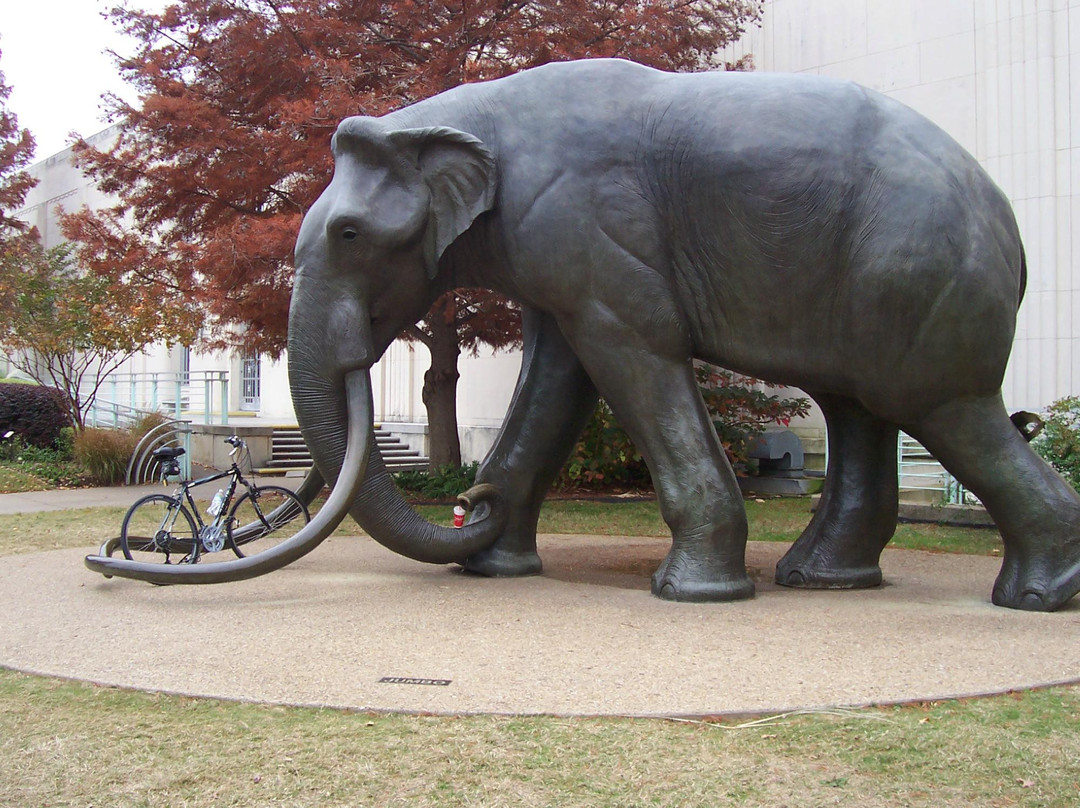 美丽公园-达拉斯必去景点