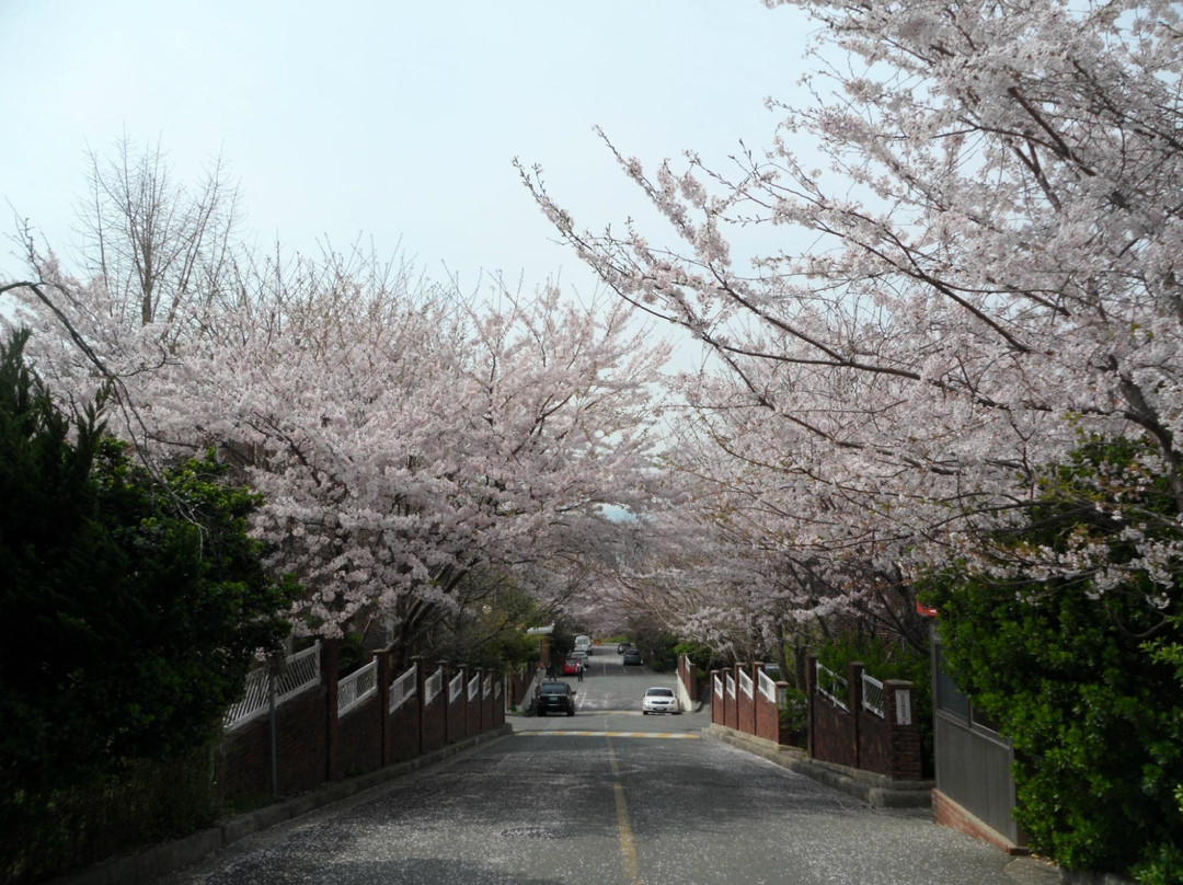 海云台迎月路-釜山必去景点