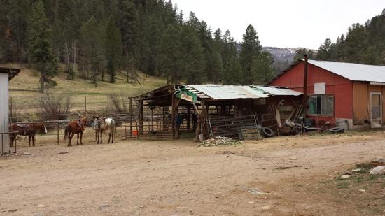 Bonito Stables-鲁伊多索必去景点