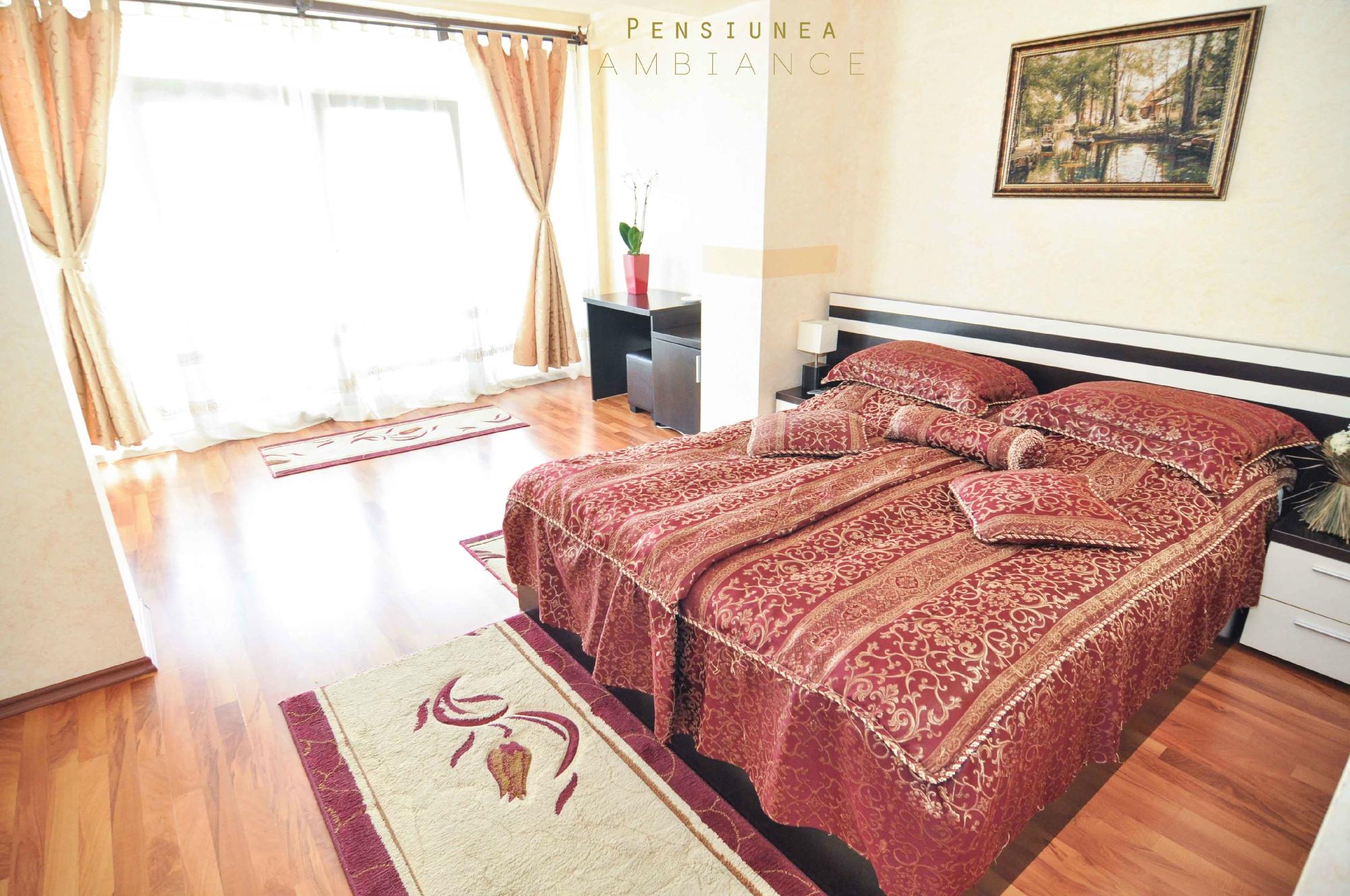Pensiunea Ambiance-官方