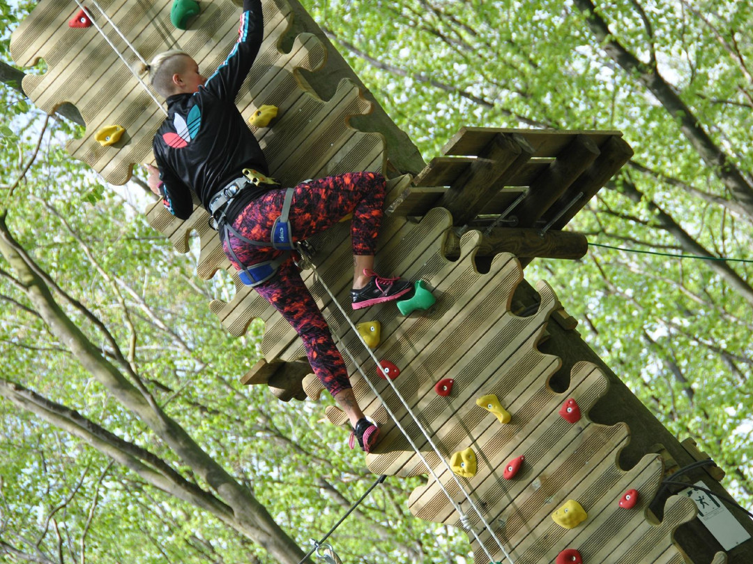 Gorilla Park Vejle景点图片