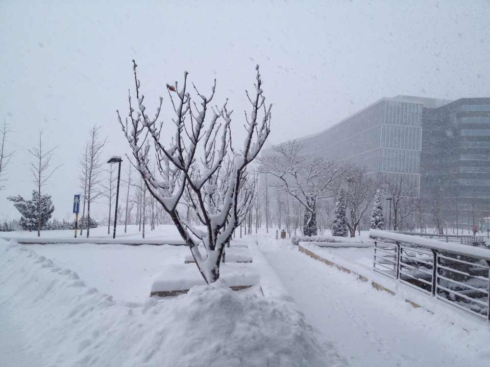 北山冰雪旅游大世界景点图片