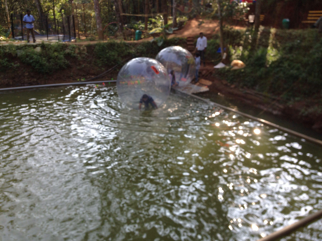 Dream Land Fun And Adventure Park Munnar景点图片