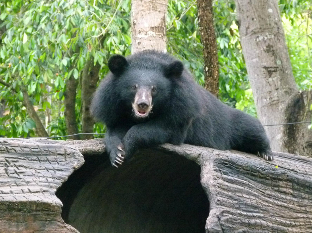 金边野生动物园-金边必去景点