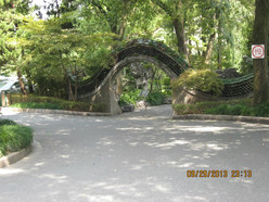 Gallery 2