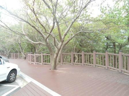 海云台迎月路-釜山必去景点