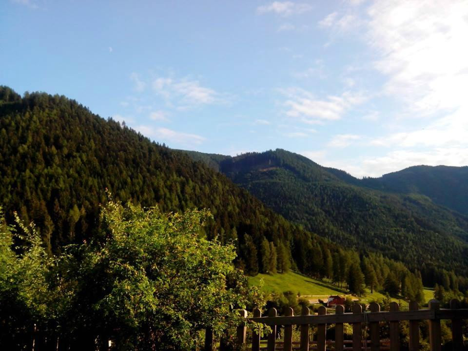 Trodena酒店住宿-Garni Ludwig