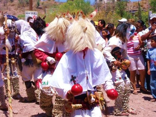San Miguel Zapotitlan-Los Mochis必去景点