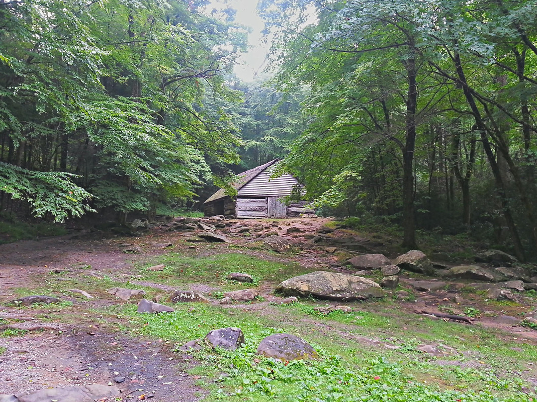 Noah Bud Ogle Cabin-大雾山国家公园必去景点